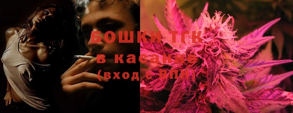 PSILOCYBIN Богданович